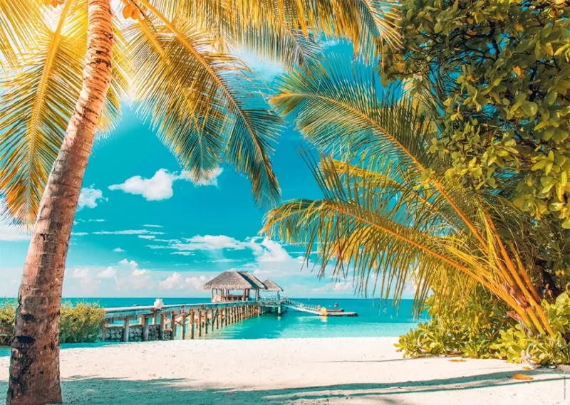 Levente Bodo - Plage Paradisiaque