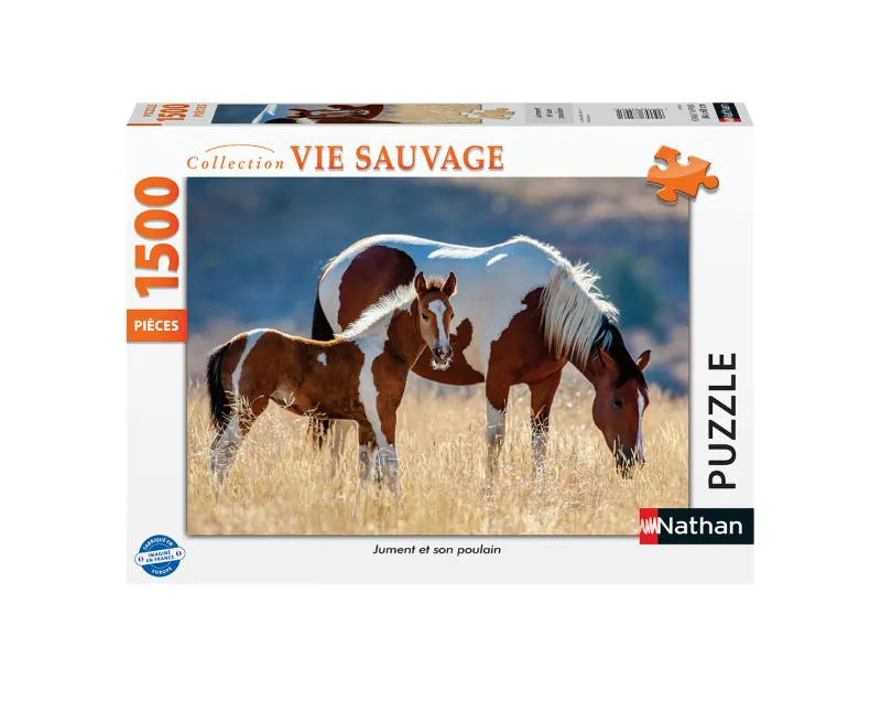 Jument et Son Poulain