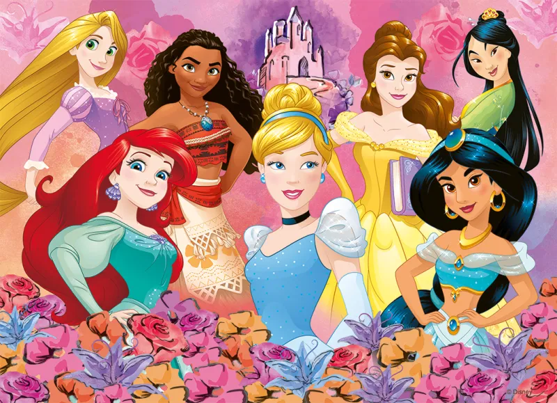 Les Princesses Disney