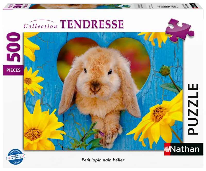 Petit lapin nain bélier