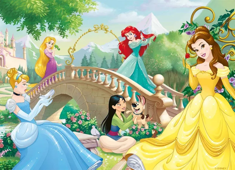 Disney Princesses