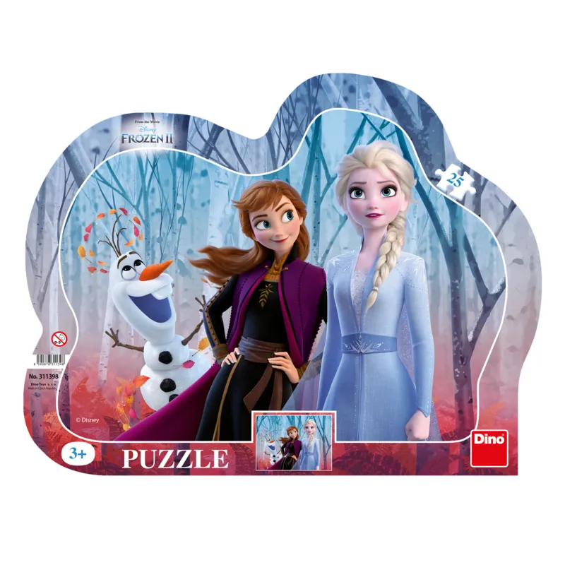 Puzzle Cadre - La Reine des Neiges 2