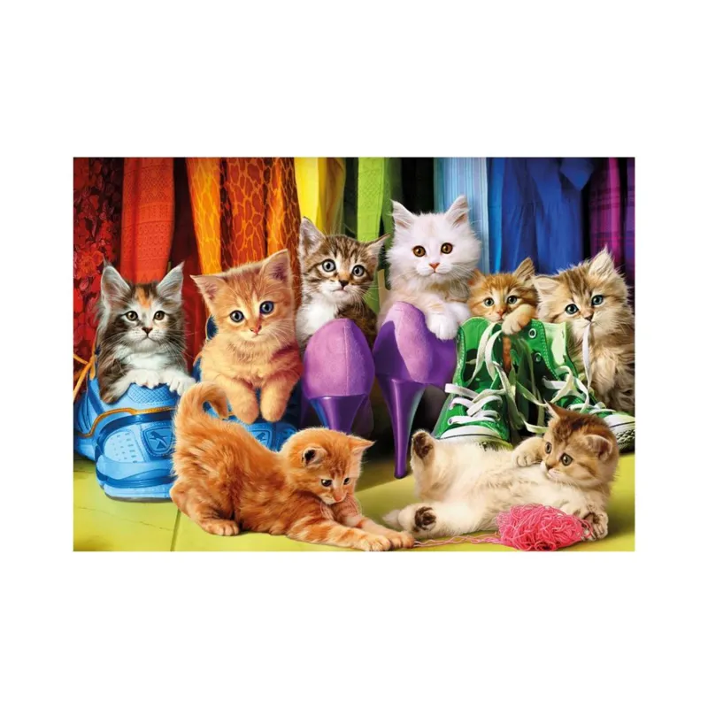 Pièces XXL - Chatons Colorés