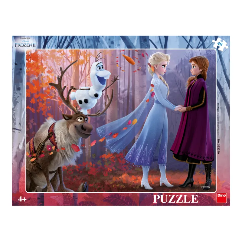 Puzzle Cadre - La Reine des Neiges 2