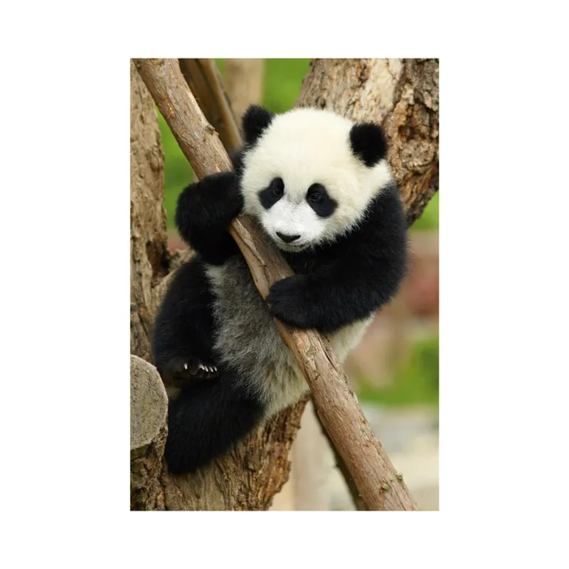 Mini-puzzle Panda