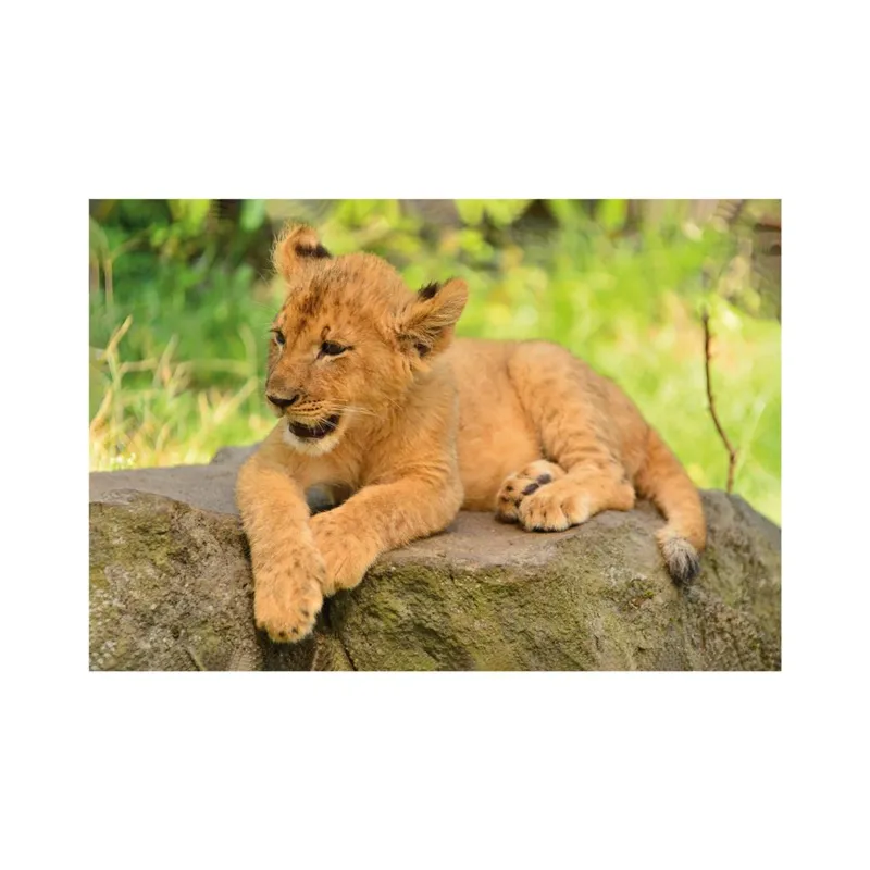Mini-puzzle Lion