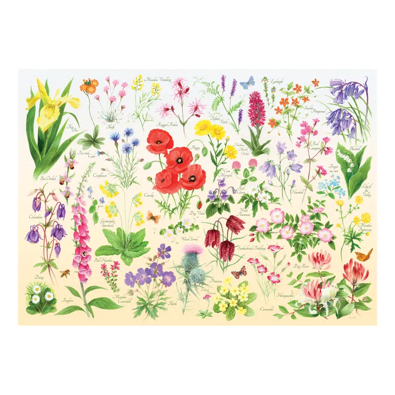 Wildflowers