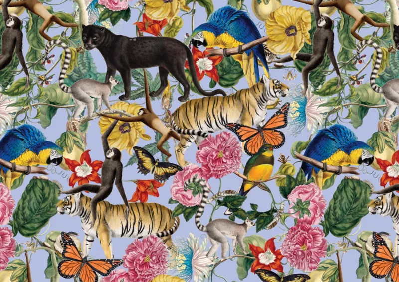 La Faune Merveilleuse - Zoological Society of London