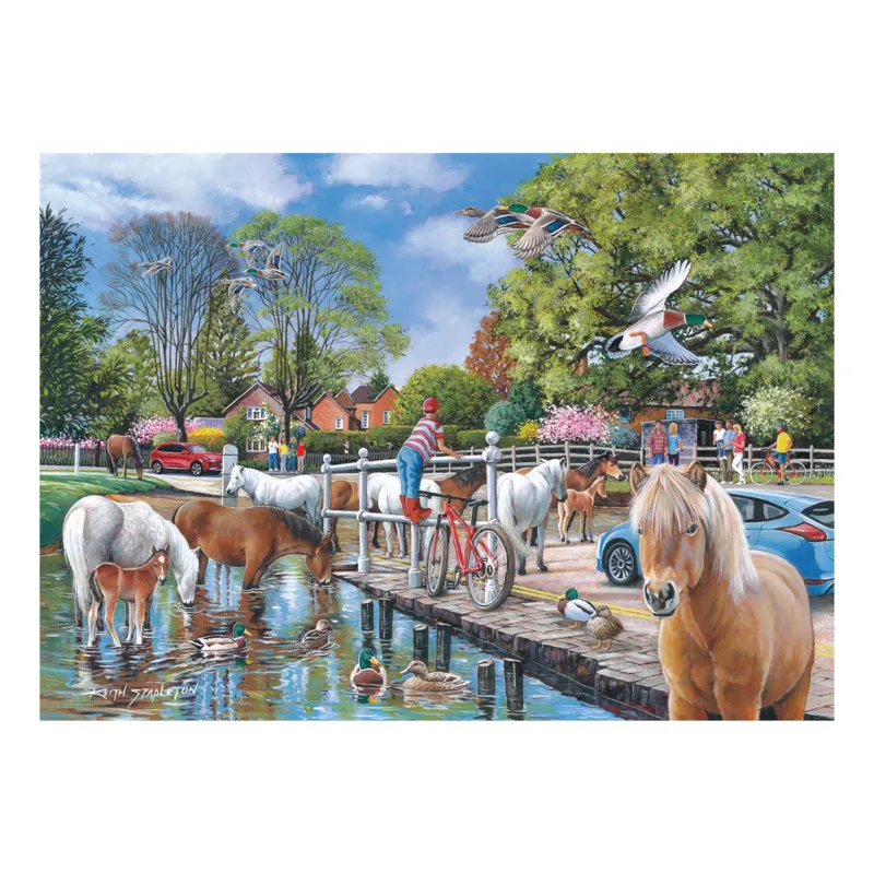 Les Poneys de New Forest