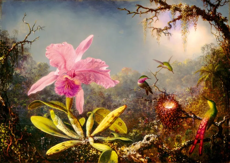 Martin Johnson Heade - Cattleya Orchid and Three Hummingbirds, 1871