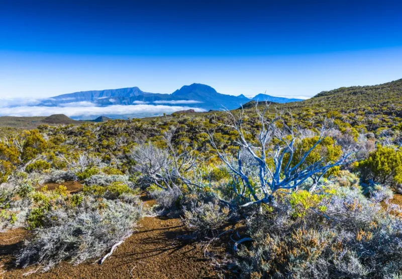 Piton des Neiges, La Réunion, France