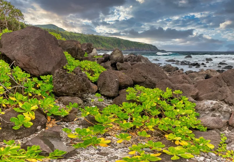 Côte Sud, La Réunion, France
