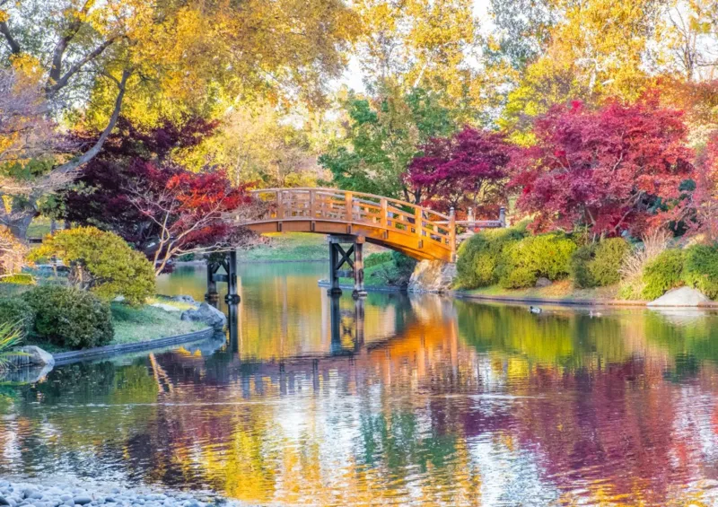 Midwest Botanical Garden