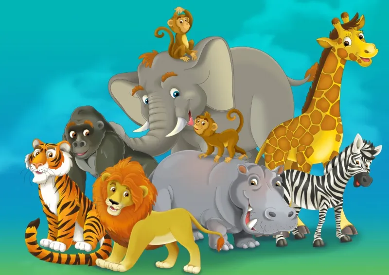 Safari