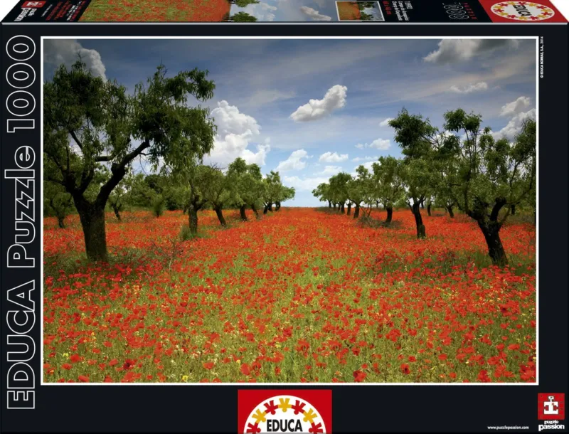 Champ de Coquelicots