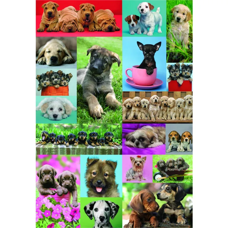 Collage petits chiens