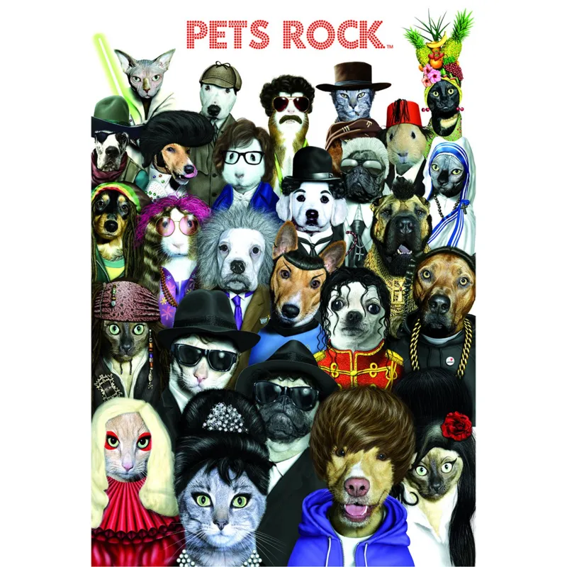 Pets Rock