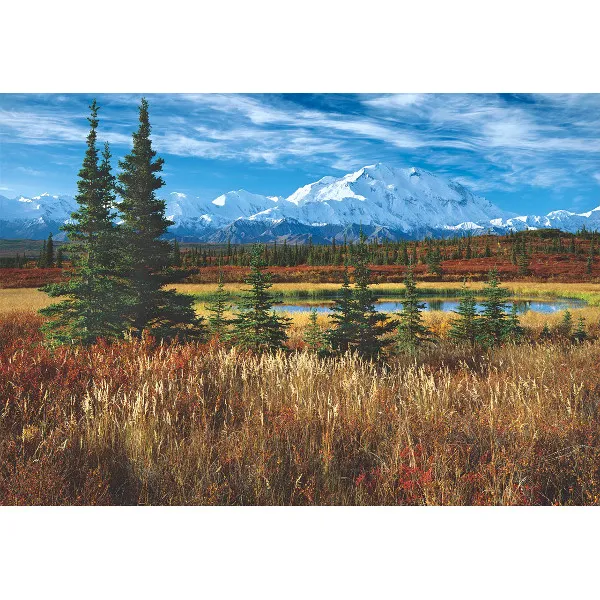 Etats-Unis : Parc National De Denali