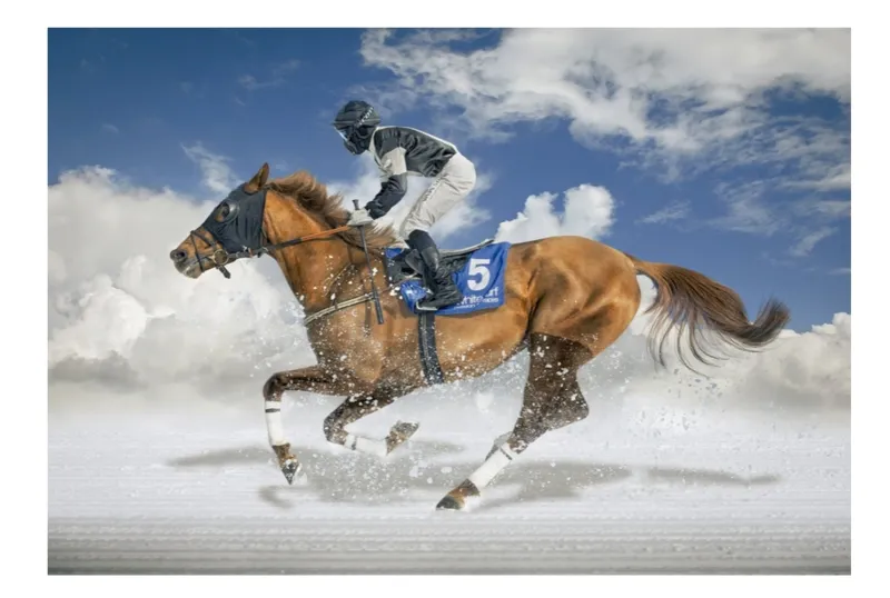 Finale De White Turf - Saint Moritz