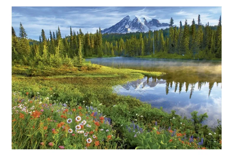 Parc National Du Mont Rainier, Etats-unis