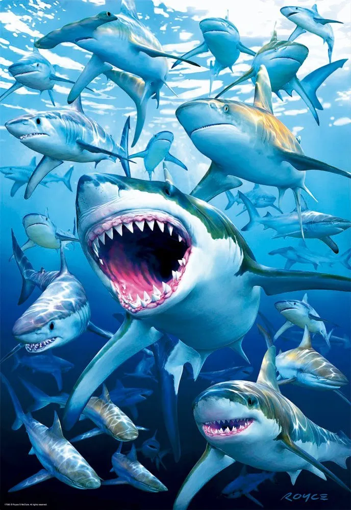 Requins