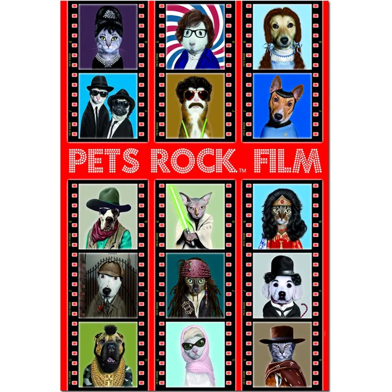 Pets Rock Film