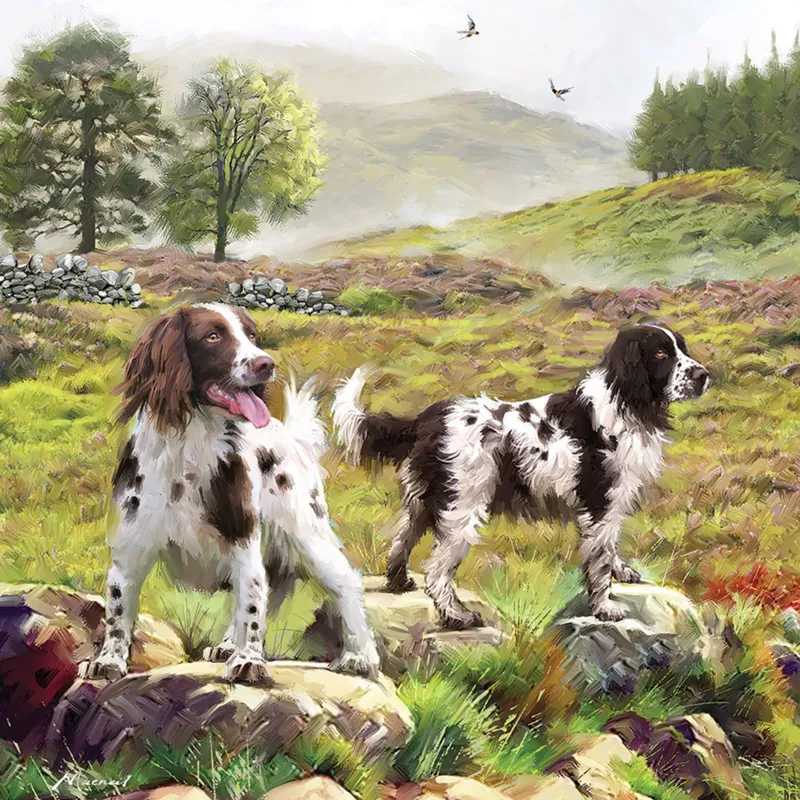 Spaniels On The Moor