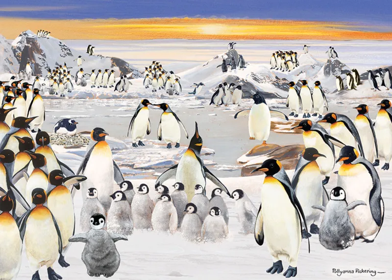 Penguin Party