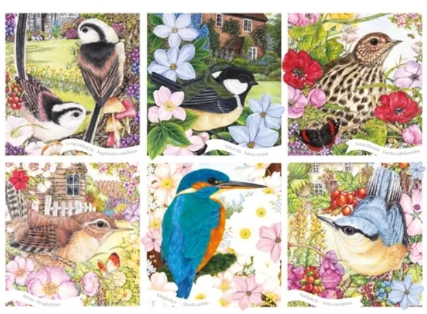 RSPB - Garden Birds