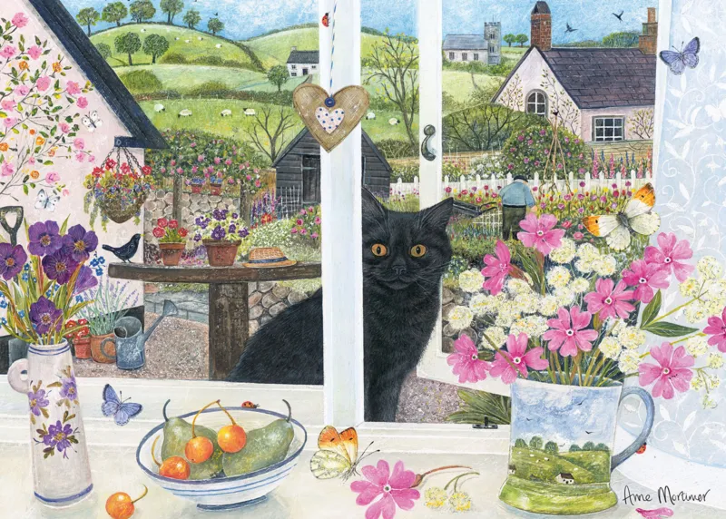 Peeking through the Window