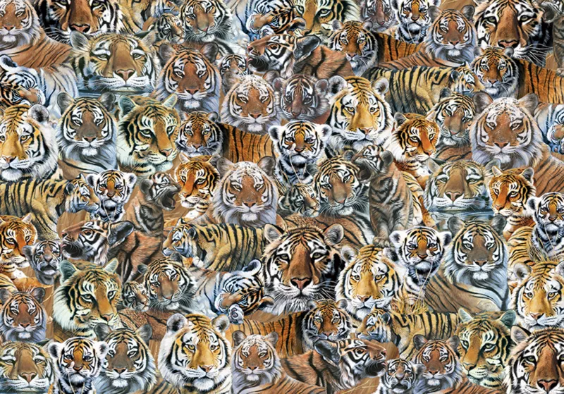 Impossible Puzzle - Tigers