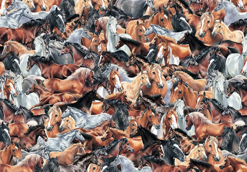Impossible Puzzle - Horses