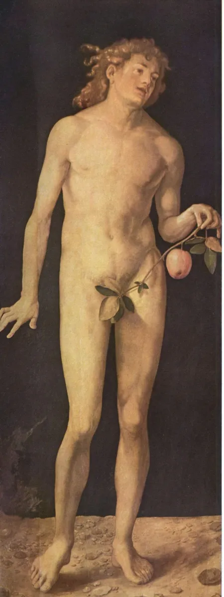 Albrecht Dürer - Adam