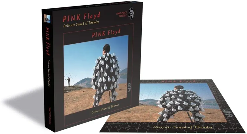 Pink Floyd - Delicate Sound of Thunder