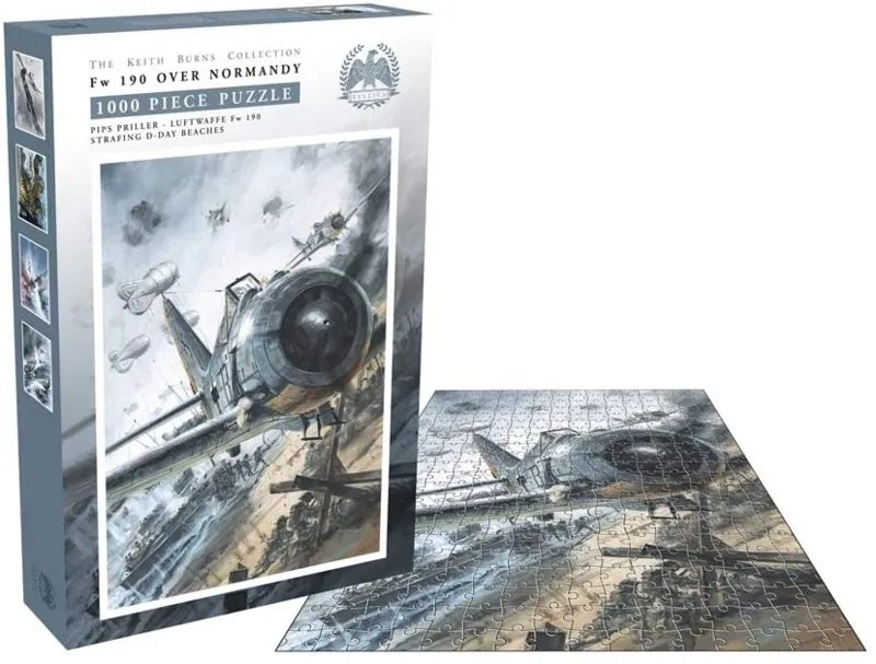 FW 190 Over Normandy