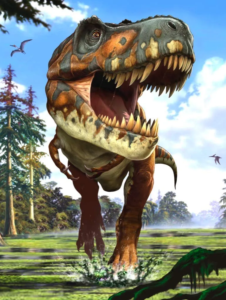 Pièces XXL - Tyrannosaurus Rex