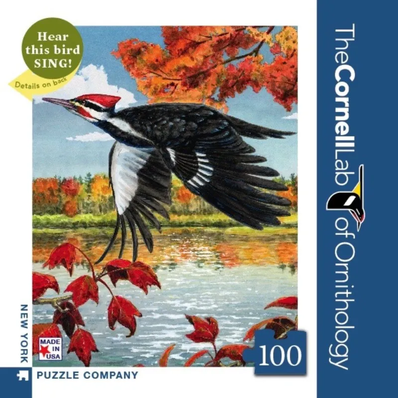 Pileated Woodpecker Mini