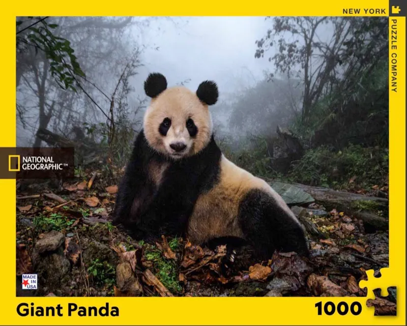 Giant Panda