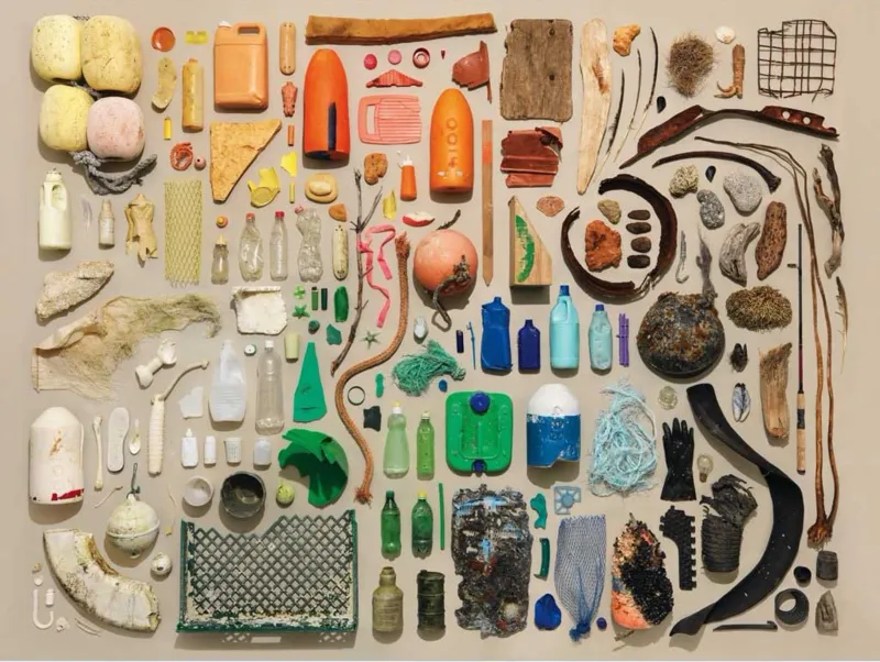 Beachcomber Collection