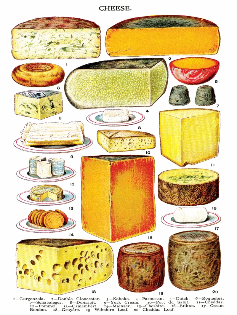 Pièces XXL - Vintage Images - Cheese