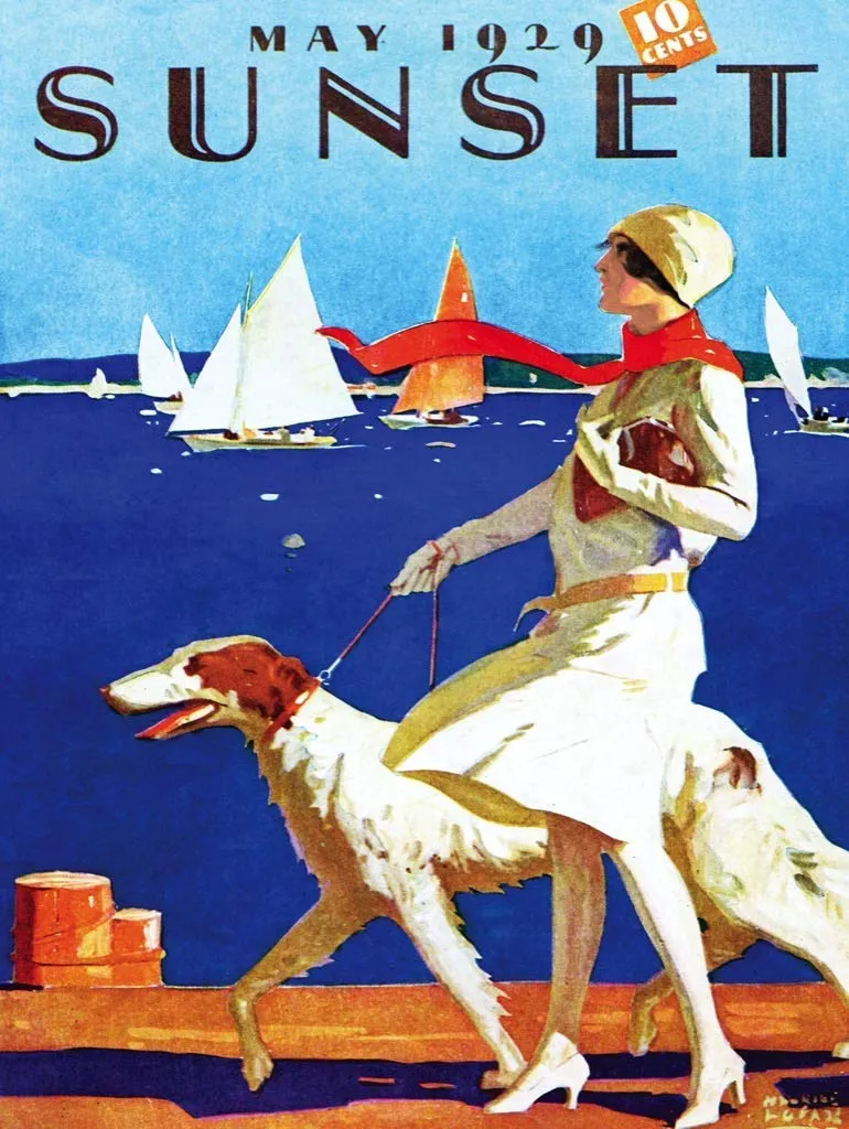 Pièces XXL - Sunset - Dock Walking