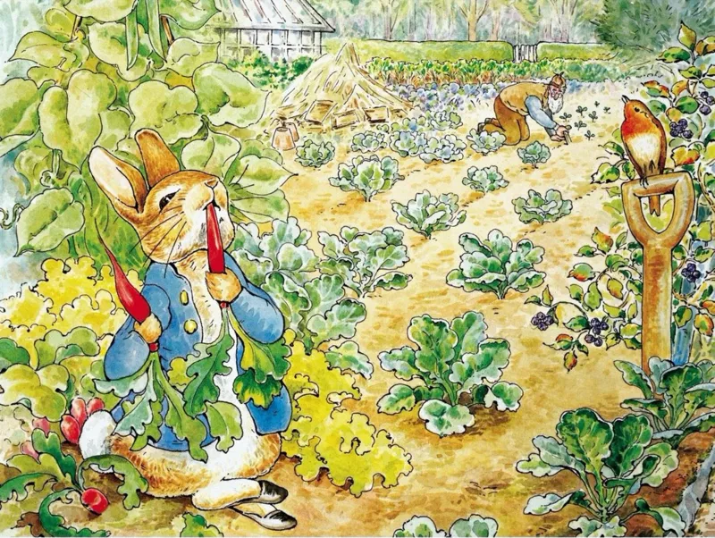 Pièces XXL - Peter Rabbit's Garden Snack