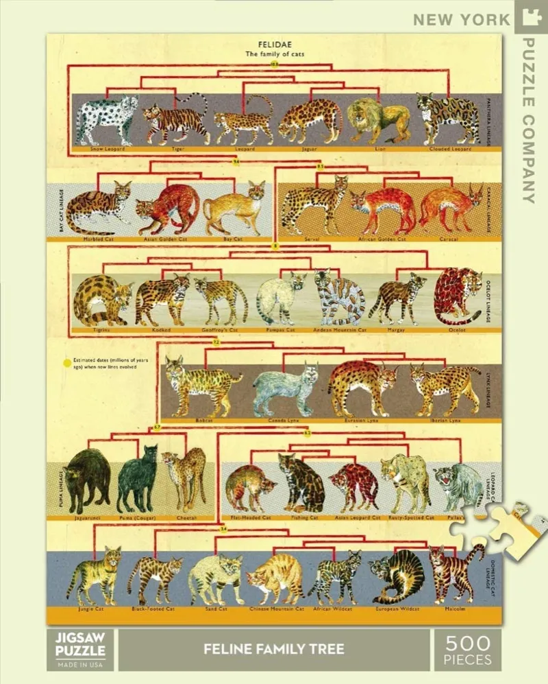 Pièces XXL - Feline Family Tree