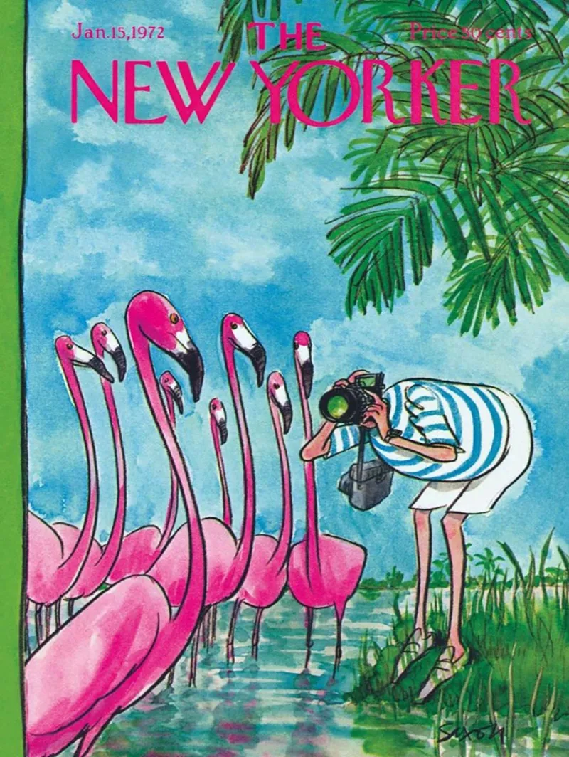 Pièces XXL - Flamingo Photographer