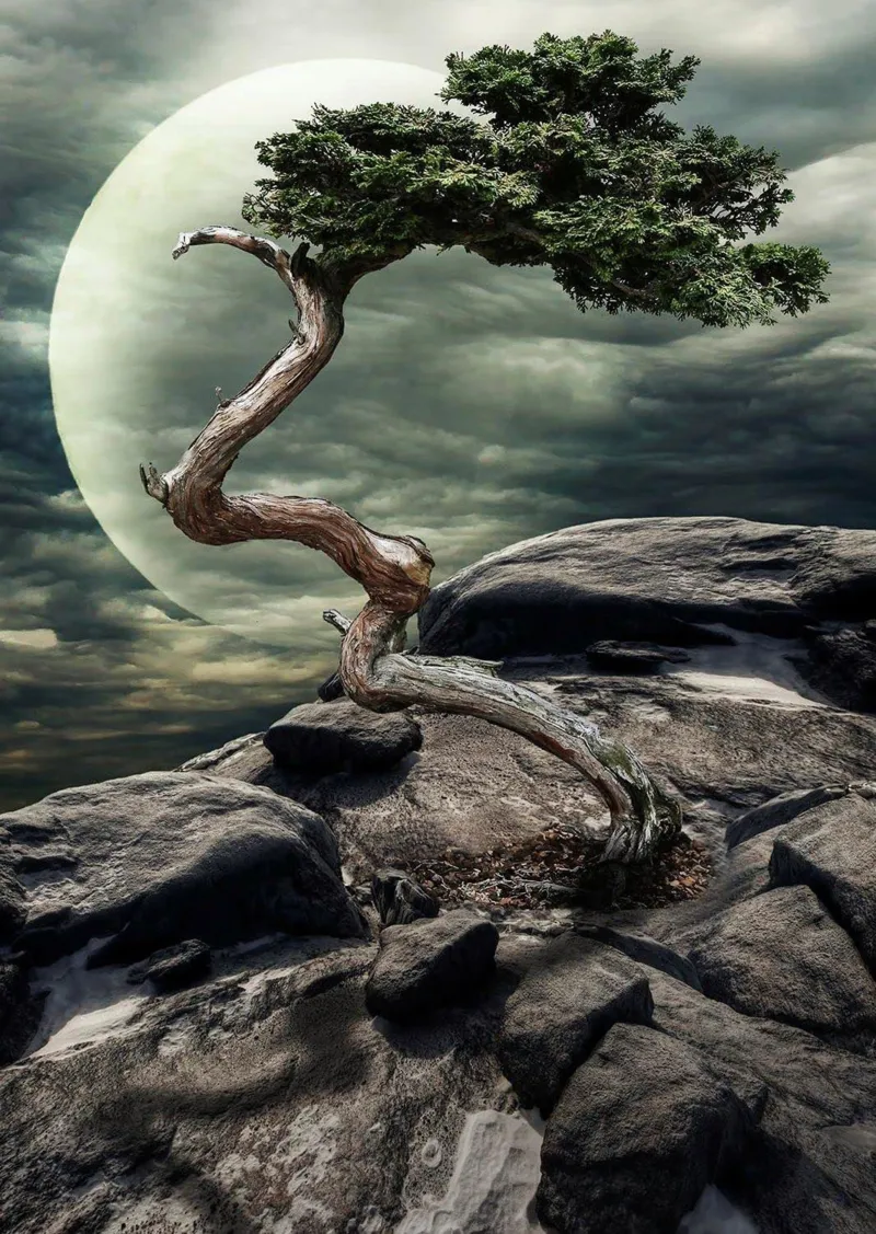 Miracle de la Nature