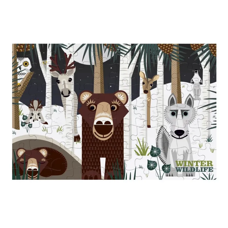 La faune hivernale