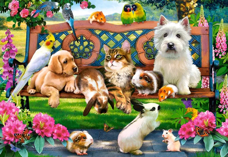 Animaux dans le Parc