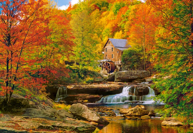 Automne Magique