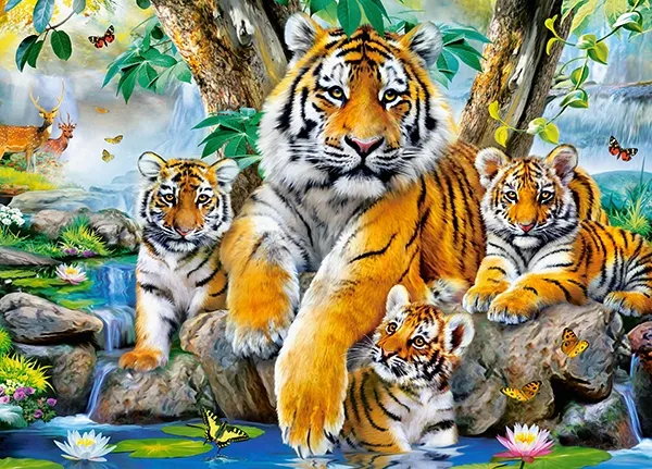 Tigers by the Steam