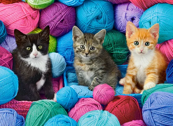Chatons